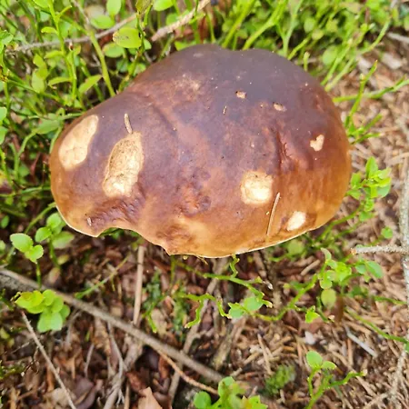 Az Сasa de vacaciones Prostřední Bečva